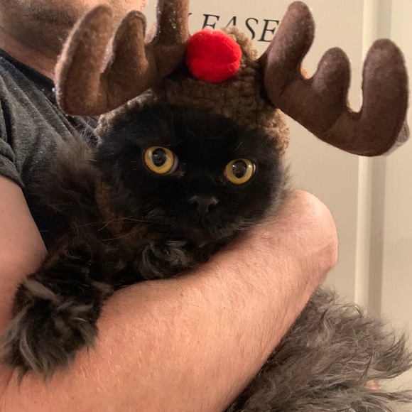 Meet your Posher, Pamela - Picture 7 of 11